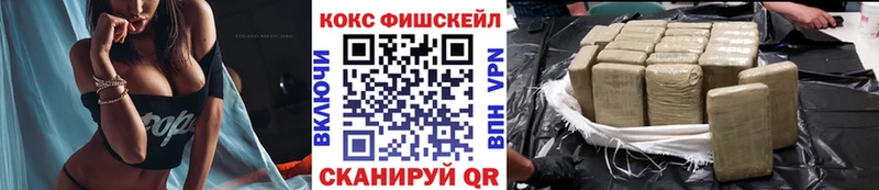 ОМГ ОМГ вход  Новозыбков  Cocaine FishScale 