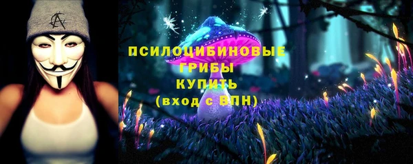 винт Сосновка