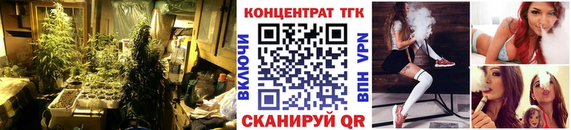 ТГК вейп с тгк  Новозыбков 